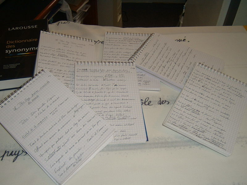 les carnets manuscrits du poème d'un kilomètre de long, de Patrick Huet, mini photo