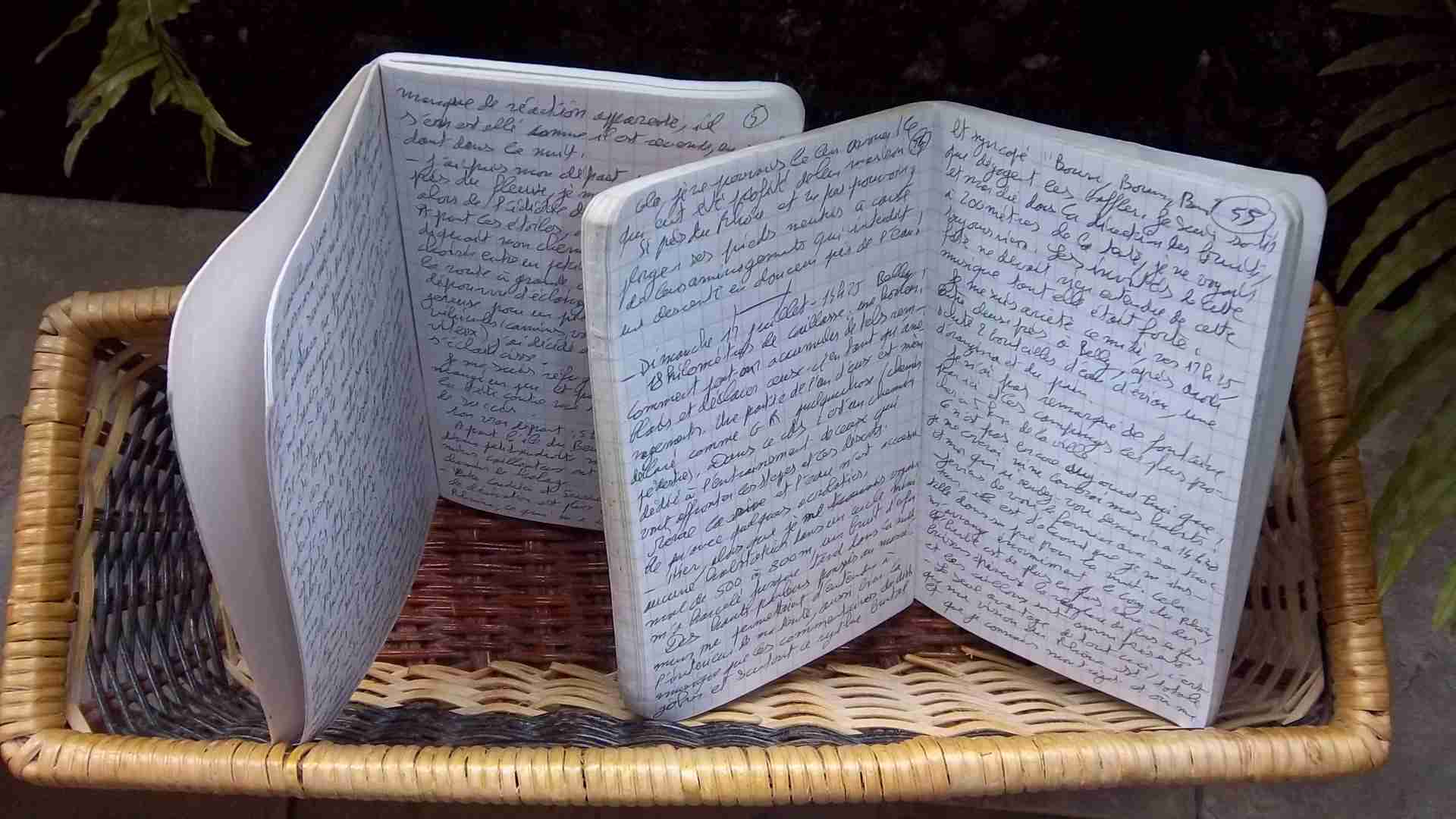 Carnet manuscrits du Fleuve-trotteur écrits le long du Rhône