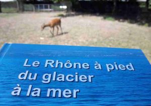 Le livre du Rhône au Parc Général Marchand de Thoissey
